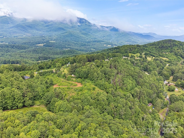 TBD Finch Lane, Burnsville, NC 28714 - photo 26
