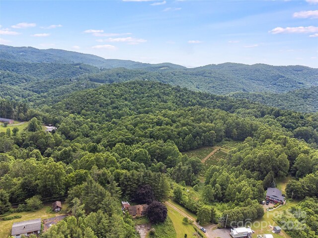 TBD Finch Lane, Burnsville, NC 28714 - photo 27