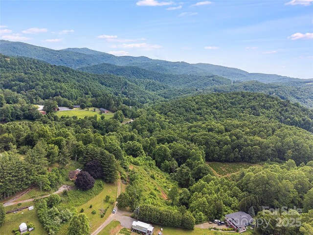 TBD Finch Lane, Burnsville, NC 28714 - photo 28