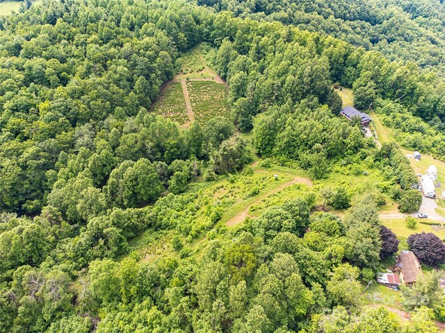 TBD Finch Lane, Burnsville, NC 28714 - photo 29