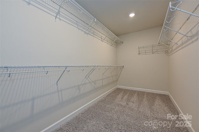 7028 Alva Ter, Charlotte, NC 28216 - photo 10