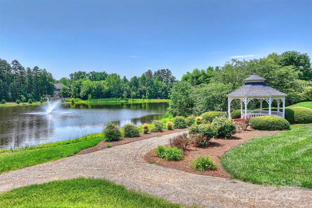 7916 Deerbridge St, Mint Hill, NC 28227 - photo 46
