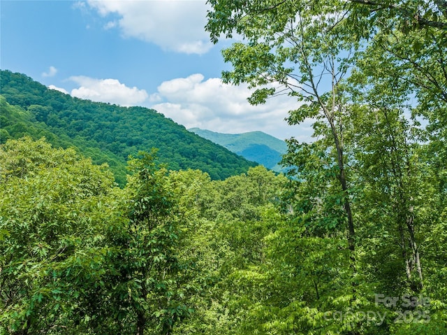 536 Tawodi Trl, Maggie Valley, NC 28751 - view of mountain backdrop with a forest