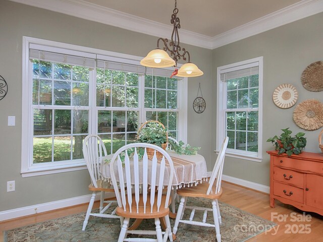 155 Culpeze Rd, Mooresville, NC 28117 - dining room with light wood-type flooring, healthy amount of natural light, and ornamental molding
