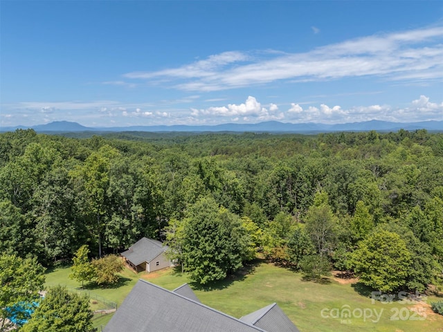 211 Forest Trail Dr, Rutherfordton, NC 28139 - photo 39