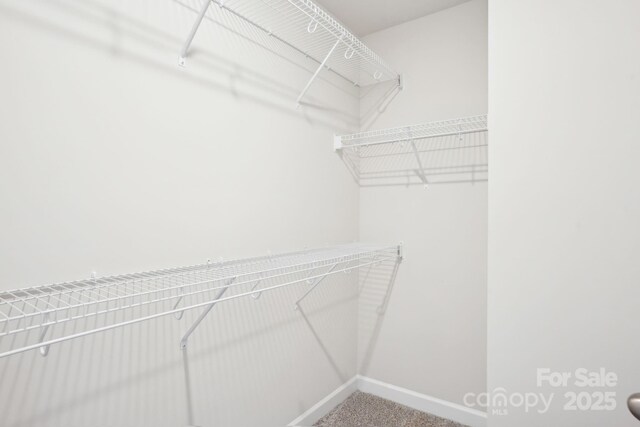 1730 Old Rivers Rd, Concord, NC 28027 - spacious closet with carpet flooring