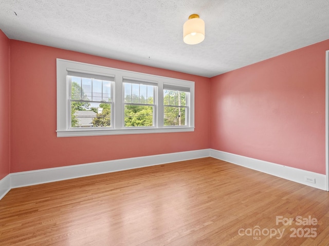106 Brevard Rd, Asheville, NC 28806 - photo 24