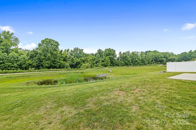 196 Sutters Mill Dr, Troutman, NC 28166 - photo 32