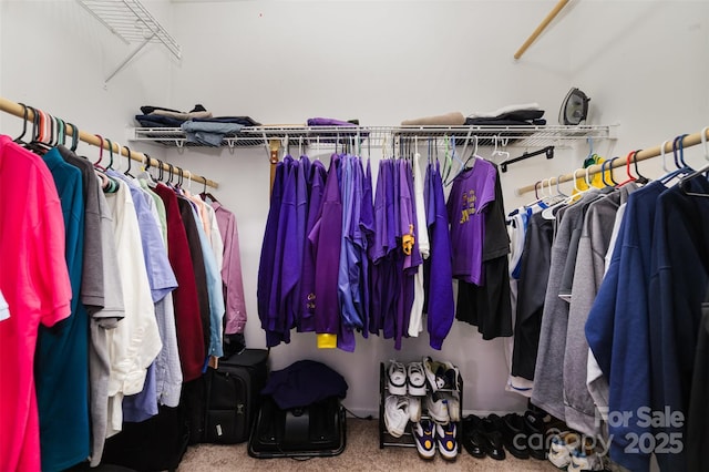 7012 Somerset Springs Dr Unit E, Charlotte, NC 28262 - walk in closet featuring carpet floors