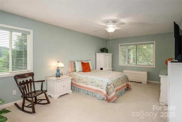 164 Glen Cannon Pt Unit 1, Pisgah Forest, NC 28768 - photo 10