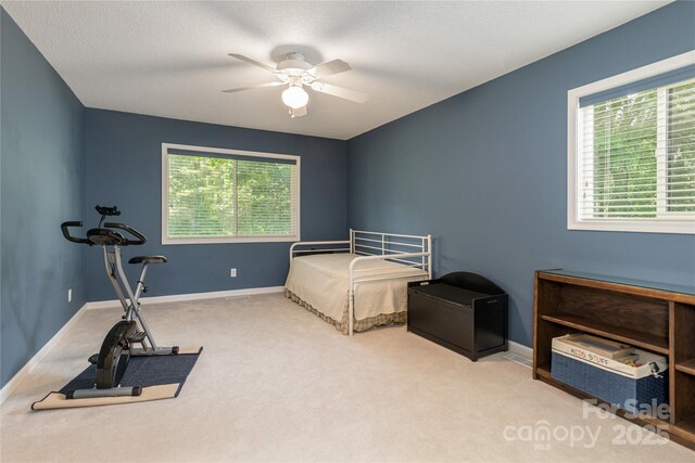 164 Glen Cannon Pt Unit 1, Pisgah Forest, NC 28768 - photo 13