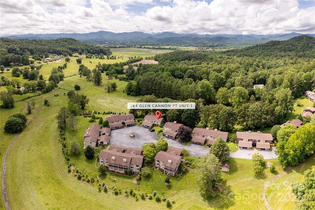 164 Glen Cannon Pt Unit 1, Pisgah Forest, NC 28768 - photo 19