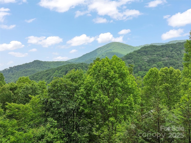 314 Prosperity Rdg, Waynesville, NC 28785 - view of mountain background featuring a heavily wooded area