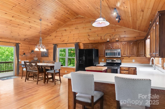 314 Prosperity Rdg, Waynesville, NC 28785 - kitchen with appliances with stainless steel finishes, a sink, wood walls, healthy amount of natural light, and light countertops