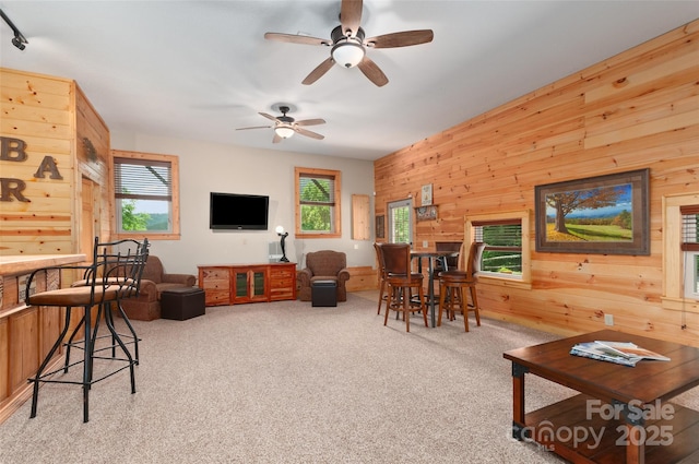 314 Prosperity Rdg, Waynesville, NC 28785 - carpeted living room with wood walls, plenty of natural light, and ceiling fan