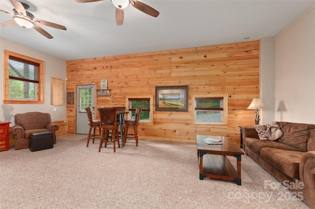 314 Prosperity Rdg, Waynesville, NC 28785 - living room with ceiling fan, wood walls, and carpet floors