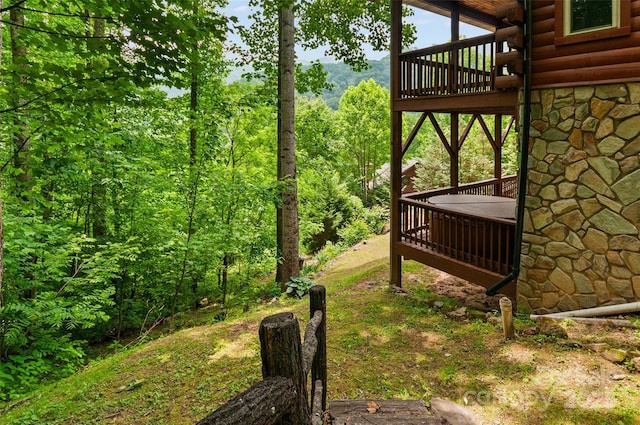 314 Prosperity Rdg, Waynesville, NC 28785 - view of yard