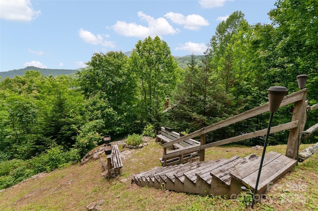 314 Prosperity Rdg, Waynesville, NC 28785 - view of yard with a wooded view