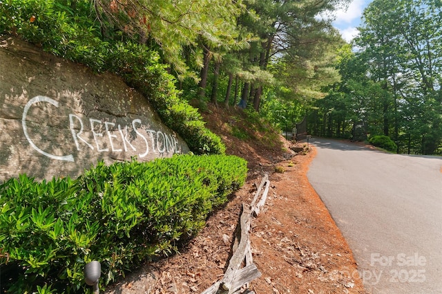 314 Prosperity Rdg, Waynesville, NC 28785 - view of asphalt road