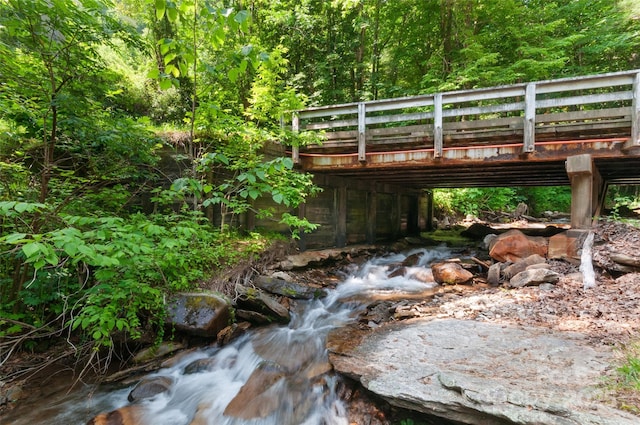 314 Prosperity Rdg, Waynesville, NC 28785 - detailed view of a forest