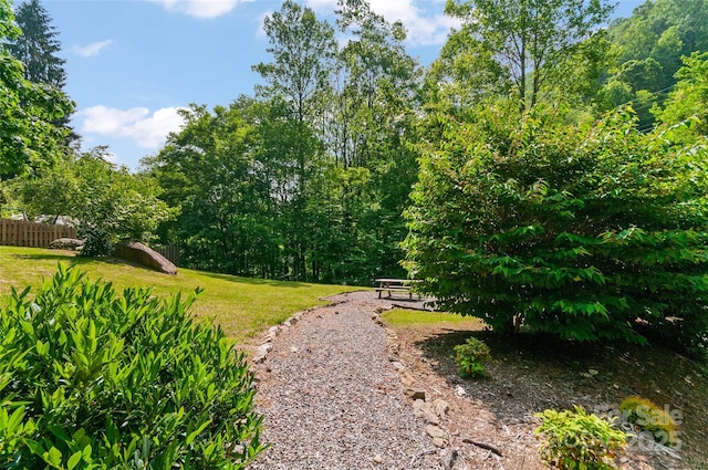 314 Prosperity Rdg, Waynesville, NC 28785 - view of yard