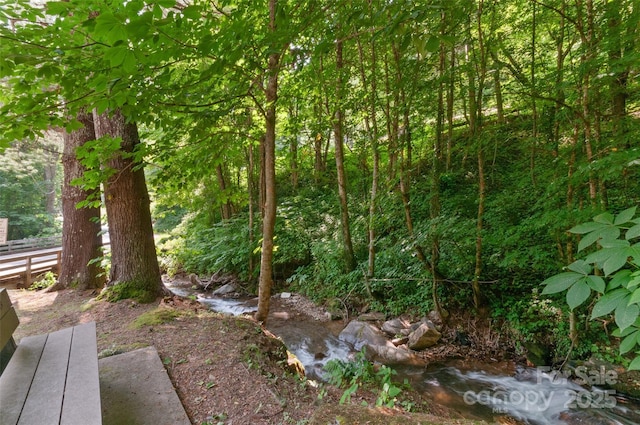 314 Prosperity Rdg, Waynesville, NC 28785 - view of yard with a forest view