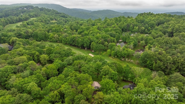 1207 Ridge Rd Unit 25, Glade Valley, NC 28627 - drone / aerial view of a heavily wooded area and a mountain backdrop
