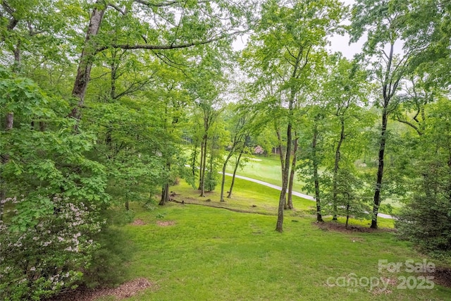 1207 Ridge Rd Unit 25, Glade Valley, NC 28627 - view of property's community with a yard
