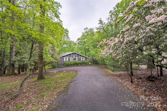 1207 Ridge Rd Unit 25, Glade Valley, NC 28627 - view of front of property featuring asphalt driveway