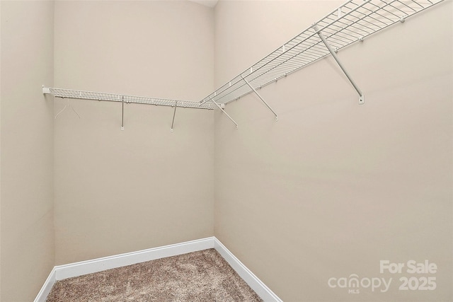 1397 Tupelo Rd, Clover, SC 29710 - walk in closet featuring carpet flooring