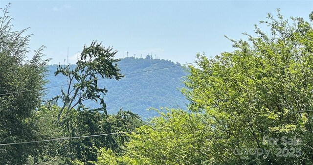 820 NE Seehorn St NE, Lenoir, NC 28645 - water view with a heavily wooded area