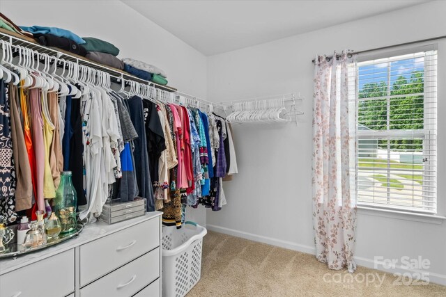 301 Wheat Field Dr, Mount Holly, NC 28120 - spacious closet featuring light carpet