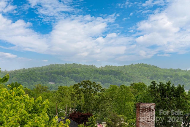 231 N Main St, Hendersonville, NC 28792 - mountain view with a forest