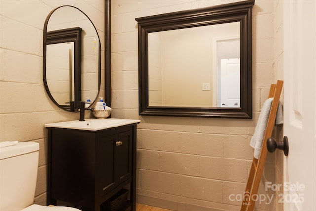 1028 Washburn Switch Rd, Shelby, NC 28150 - bathroom featuring concrete block wall, toilet, and vanity