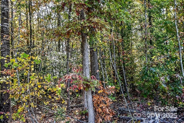 7668 Long Bay Pkwy, Catawba, NC 28609
