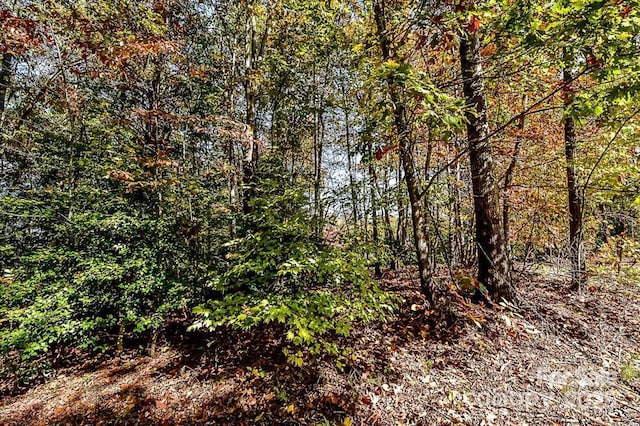 7668 Long Bay Pkwy, Catawba, NC 28609