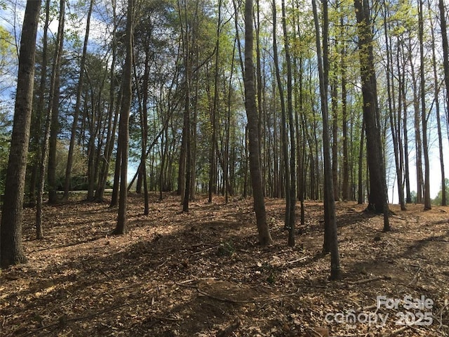 7668 Long Bay Pkwy, Catawba, NC 28609