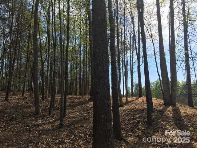 7668 Long Bay Pkwy, Catawba, NC 28609