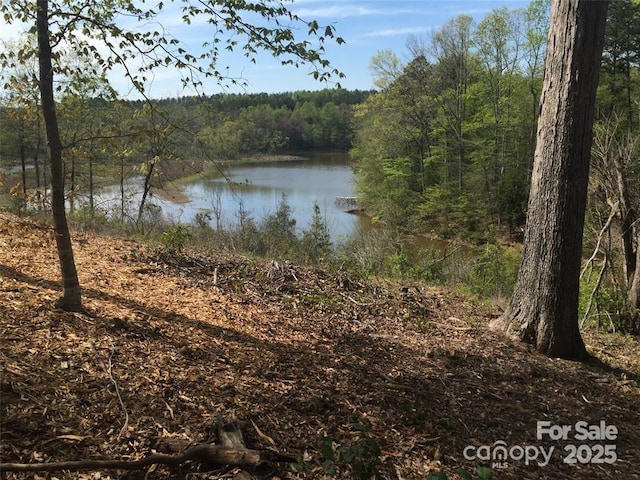 7668 Long Bay Pkwy, Catawba, NC 28609