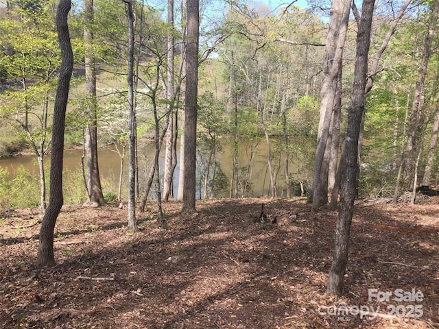 7668 Long Bay Pkwy, Catawba, NC 28609
