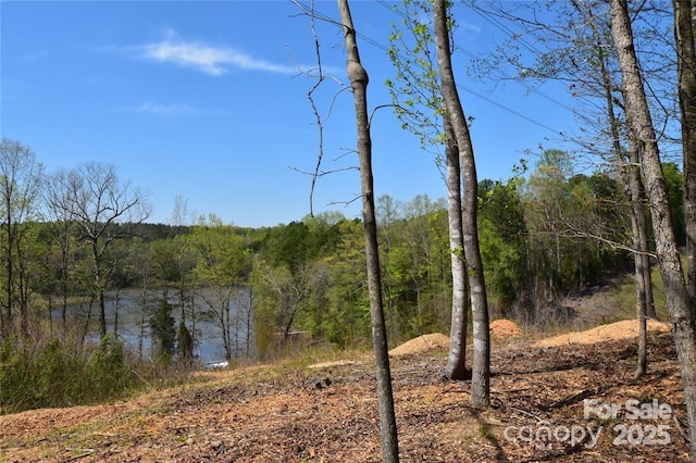 7668 Long Bay Pkwy, Catawba, NC 28609