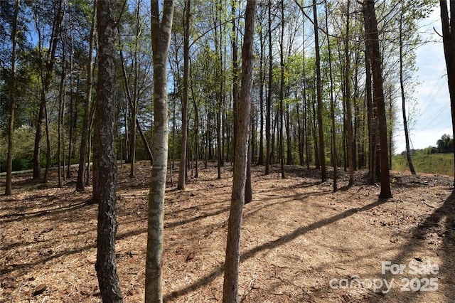 7668 Long Bay Pkwy, Catawba, NC 28609