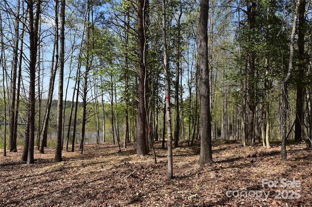 7668 Long Bay Pkwy, Catawba, NC 28609