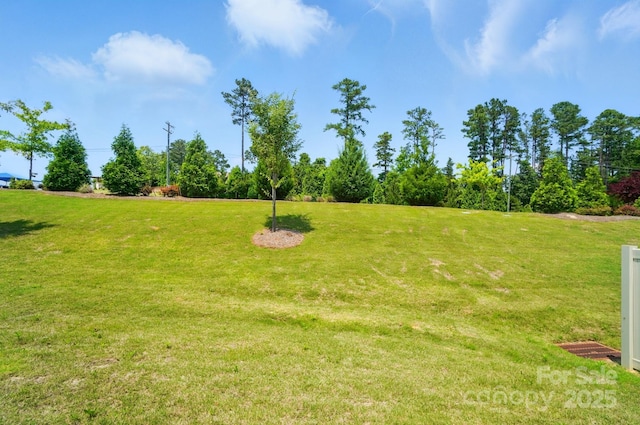 5334 Orchid Bloom Dr, Fort Mill, SC 29707 - view of green lawn