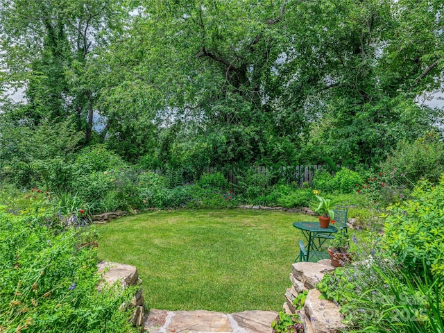 7 Mill Stone Dr, Asheville, NC 28803 - view of green lawn