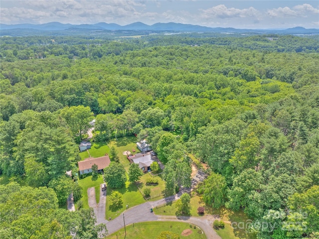 63 Mcdonald Rd, Arden, NC 28704 - photo 28