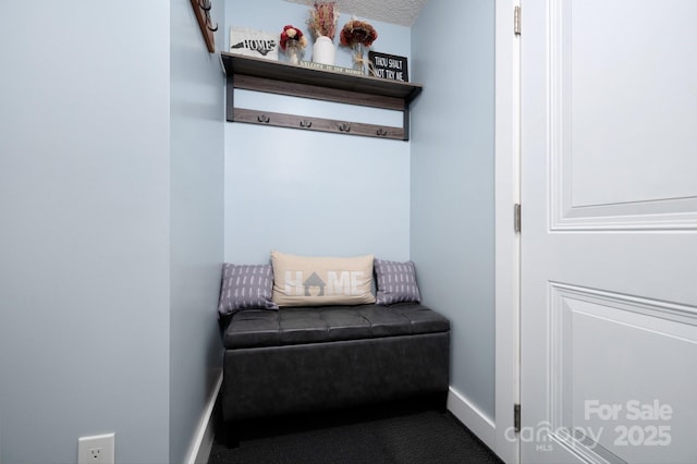 178 Susanna Cove Rd, Mars Hill, NC 28754 - mudroom with baseboards and carpet floors