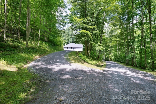 178 Susanna Cove Rd, Mars Hill, NC 28754 - view of dirt / gravel driveway featuring a forest view