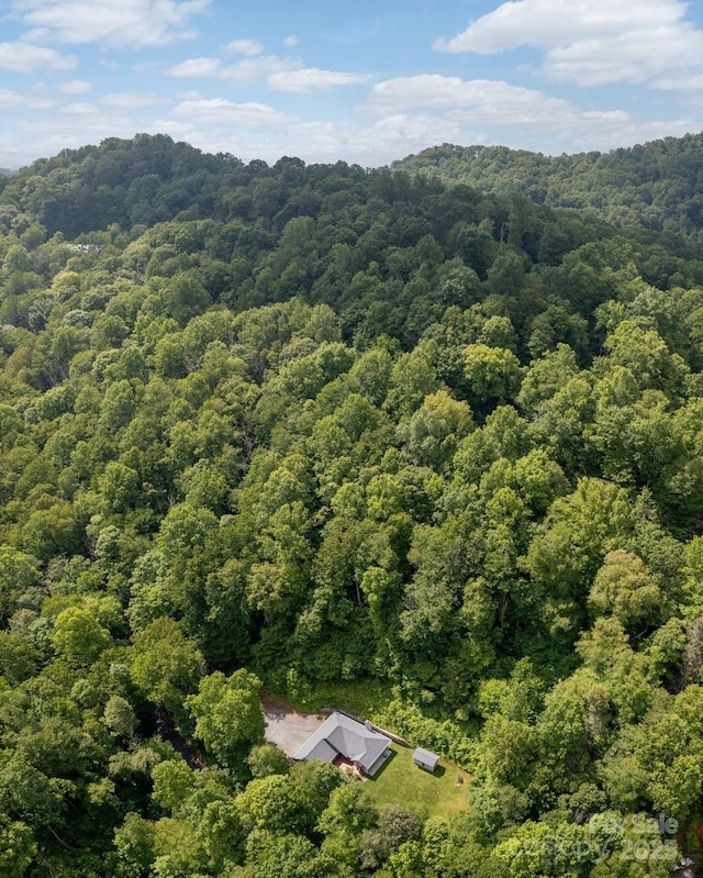 178 Susanna Cove Rd, Mars Hill, NC 28754 - drone / aerial view of a forest