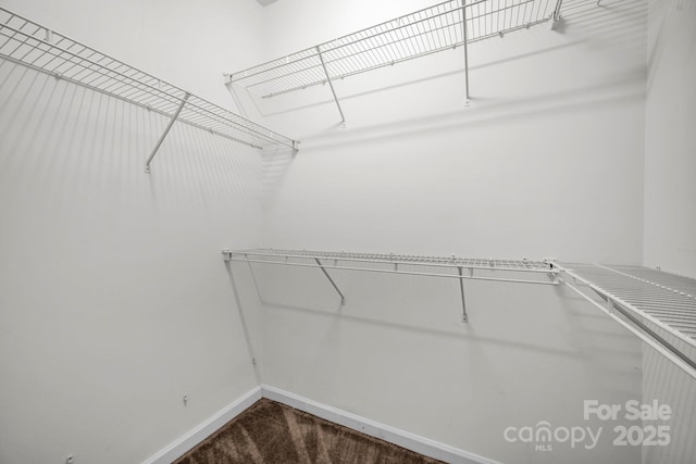 158 Snead Rd, Fort Mill, SC 29715 - photo 17